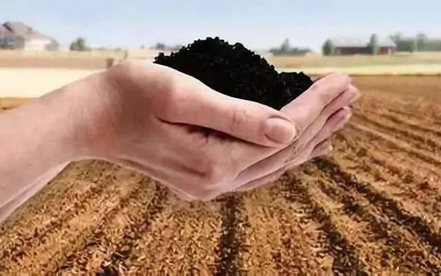 施用微生物肥料对土壤质量的影响