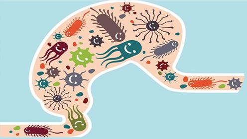 微生物跟人类关系密切，但你知道在肠道的微生物会控制你的大脑么？